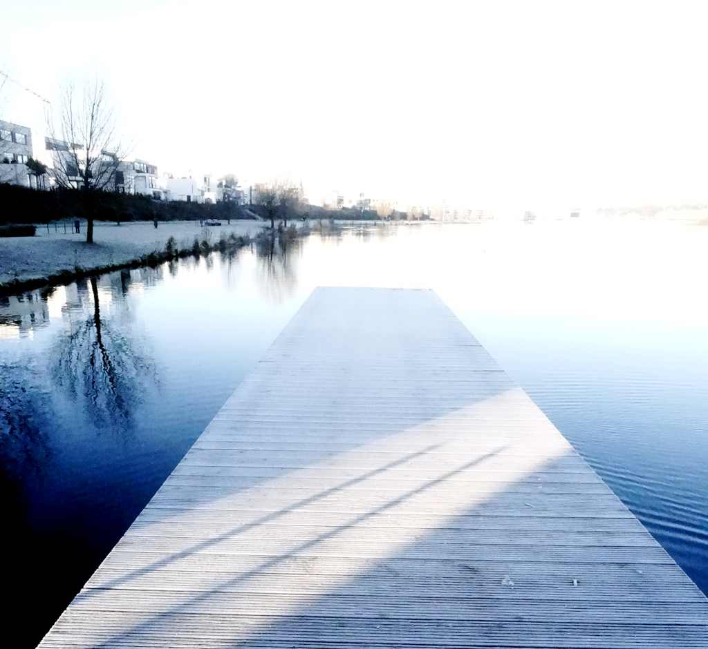 Steg am See