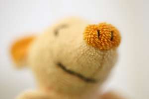 Teddy 03